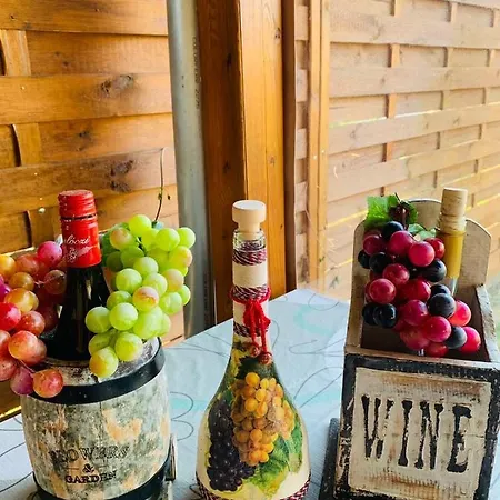 Demizson Vendeghaz توكاي