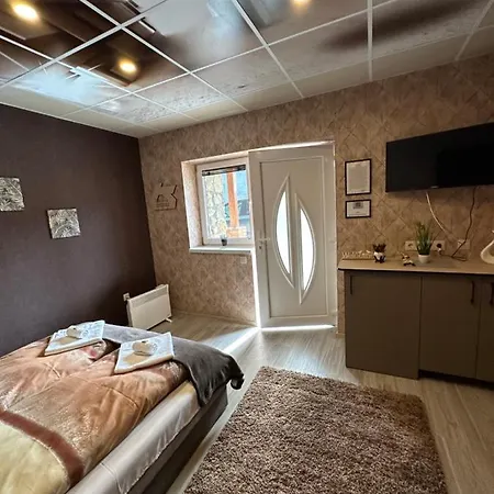 Demizson Vendeghaz Guest house *