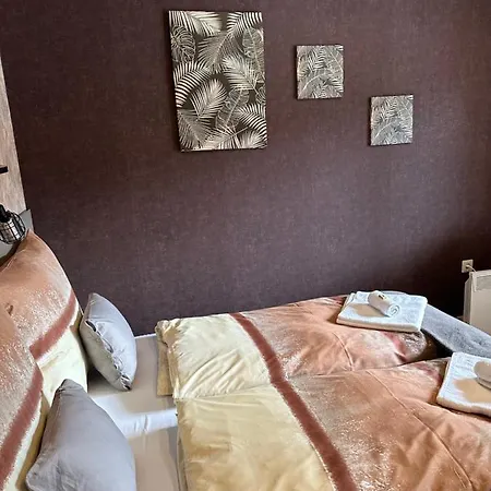 Demizson Vendeghaz 3* توكاي