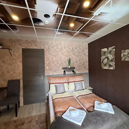 Demizson Vendeghaz Guest house *