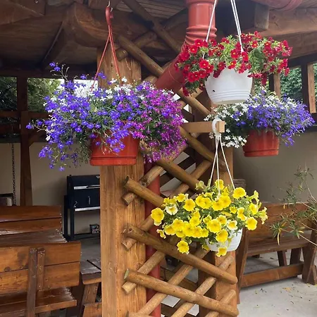 بيت ضيافة Demizson Vendeghaz توكاي