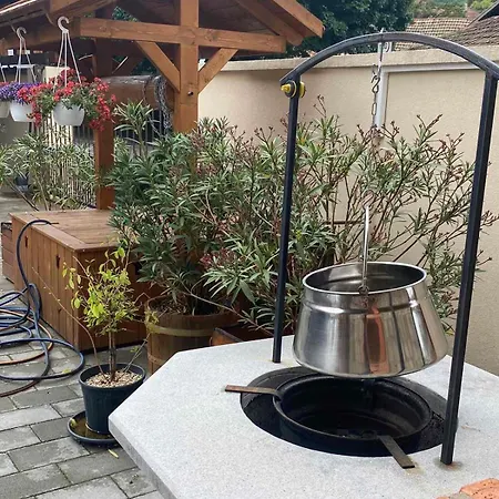 Demizson Vendeghaz 3*