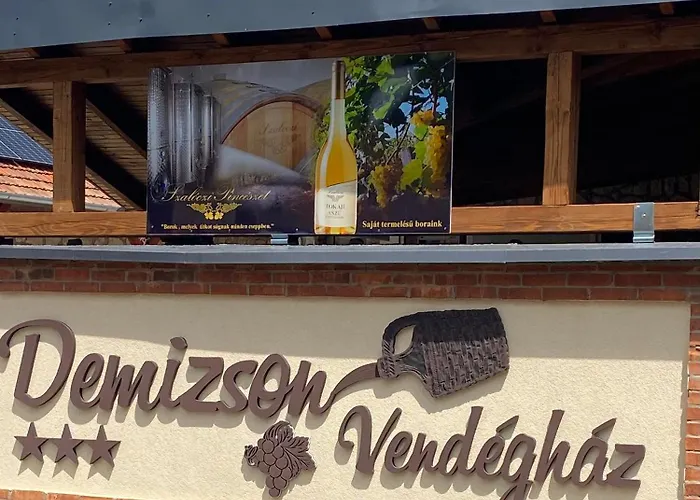 Demizson Vendeghaz بيت ضيافة توكاي